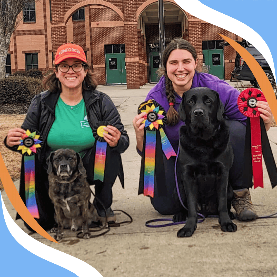 Climbing Mountains: Handler Skills for Success at Elite/Elite Premier and Summit Webinar