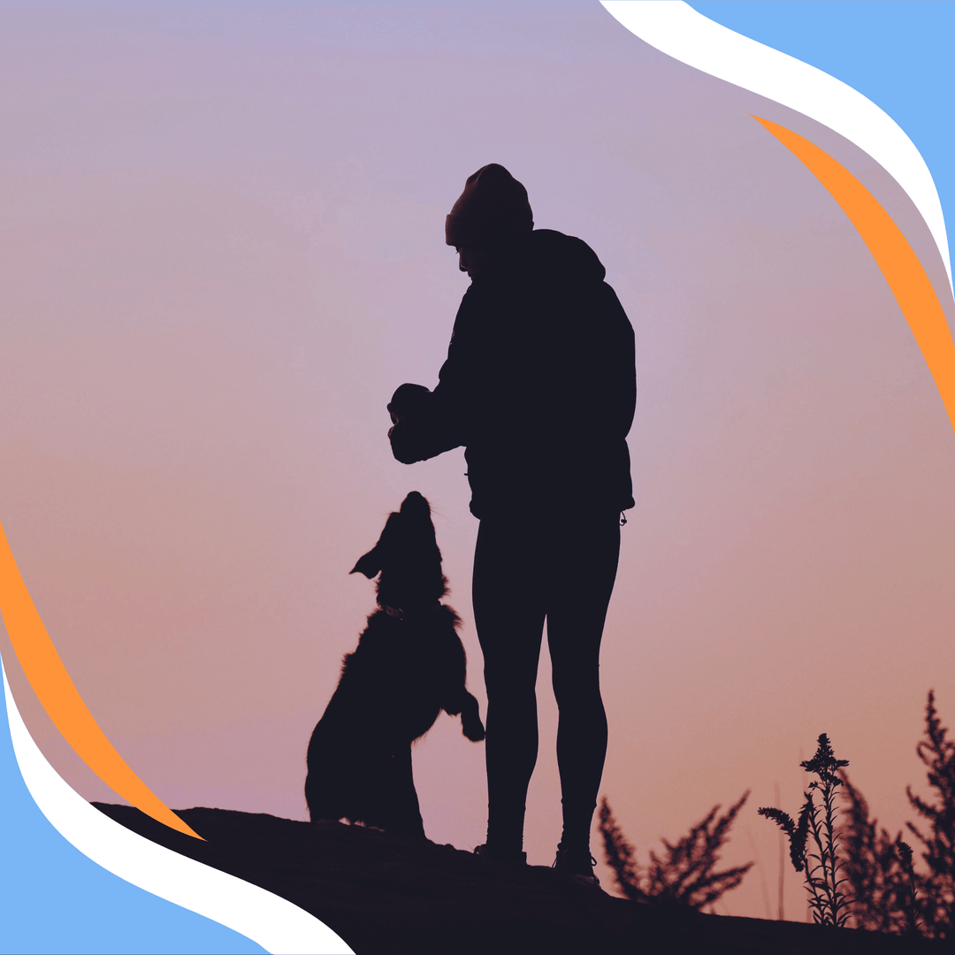 Coach Jeff's Guide To The Nosework Relationship Webinar