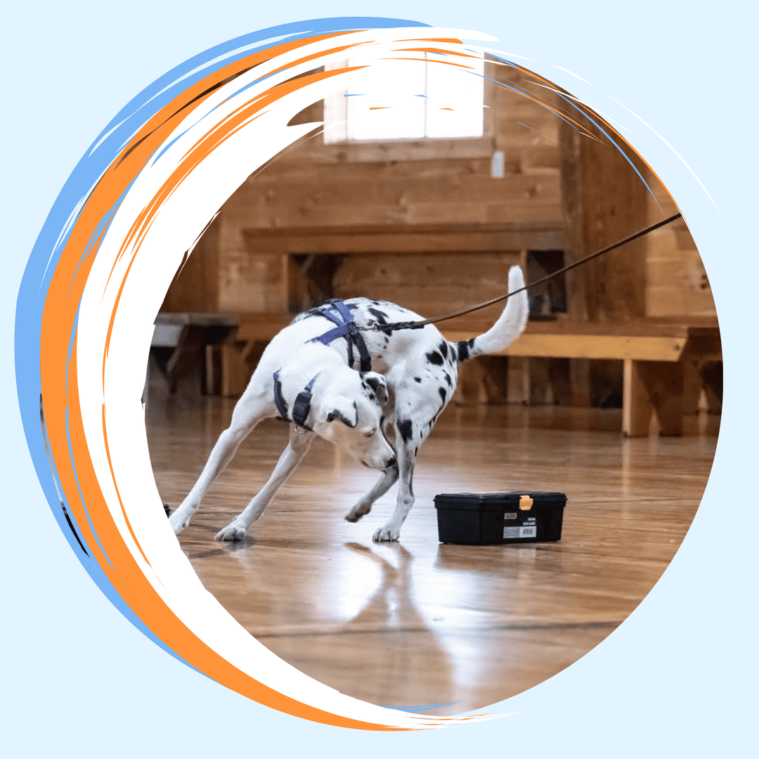 Coach's View: How to be a Better Coach Virtual Event