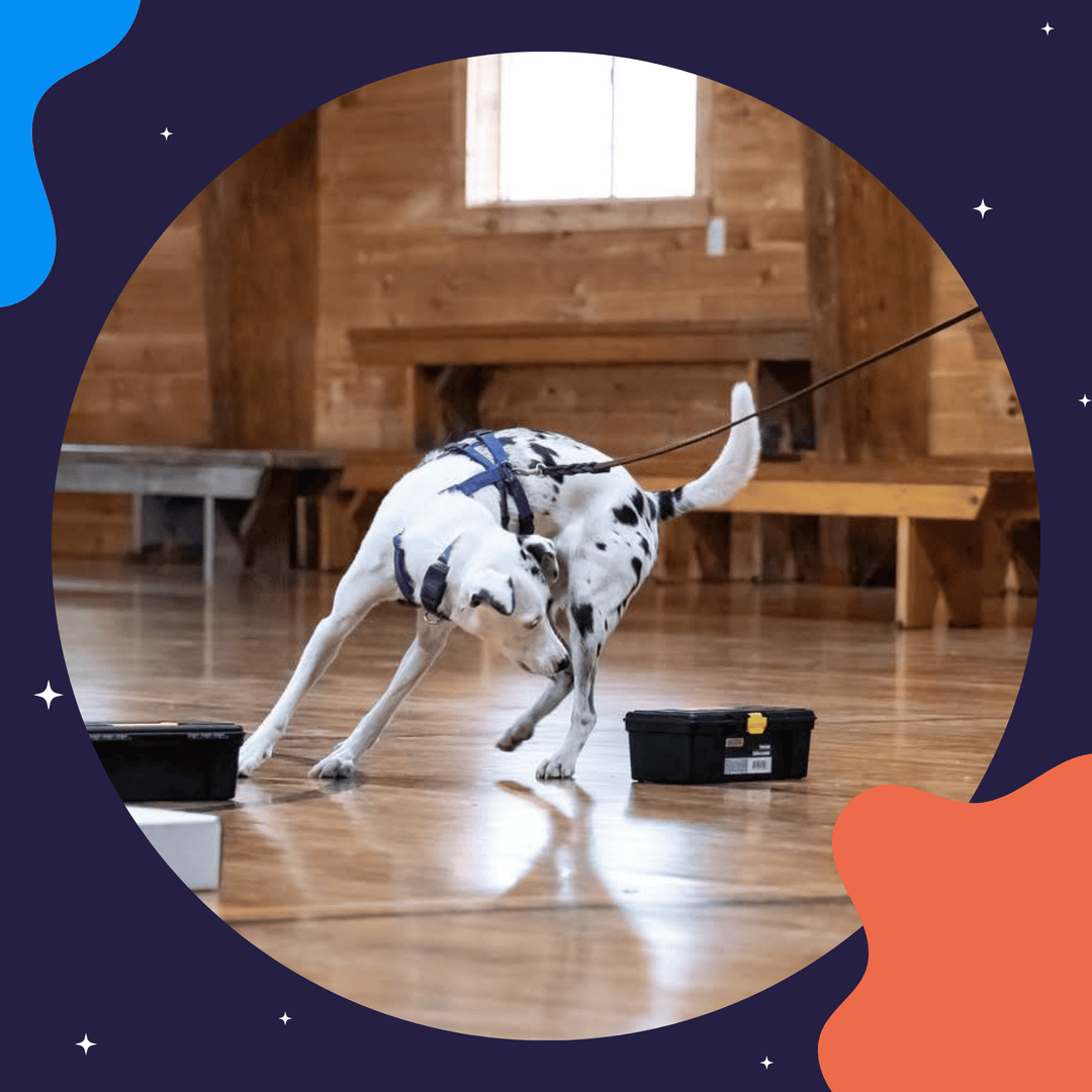 Coach's View: How to be a Better Coach Virtual Event