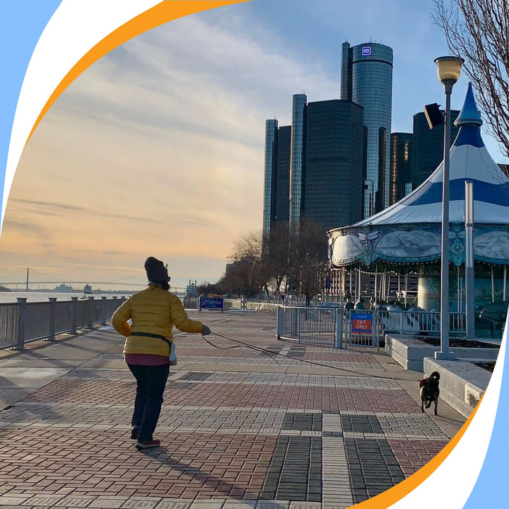 Cover It: Strategies for Successful Search Area Management Webinar