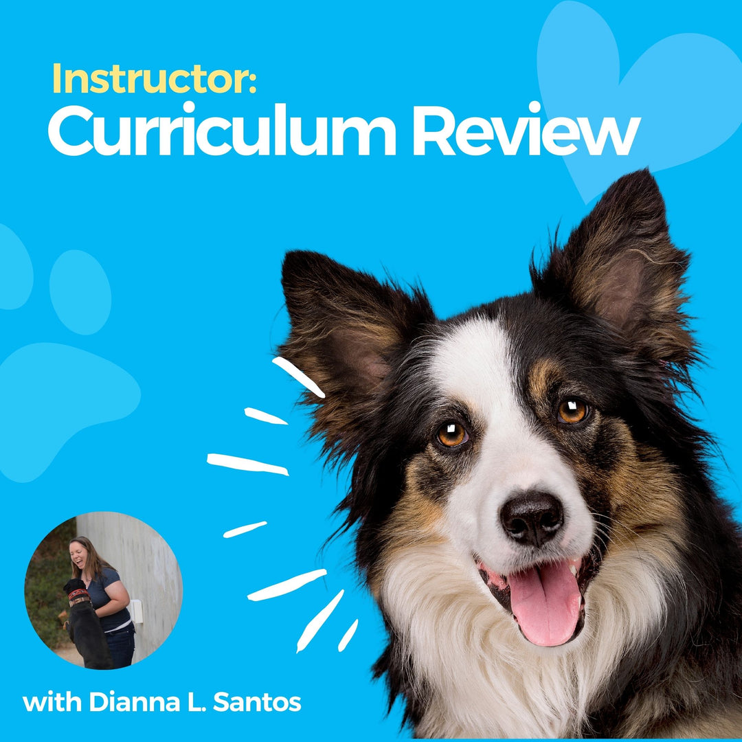 Instructor: Curriculum Review