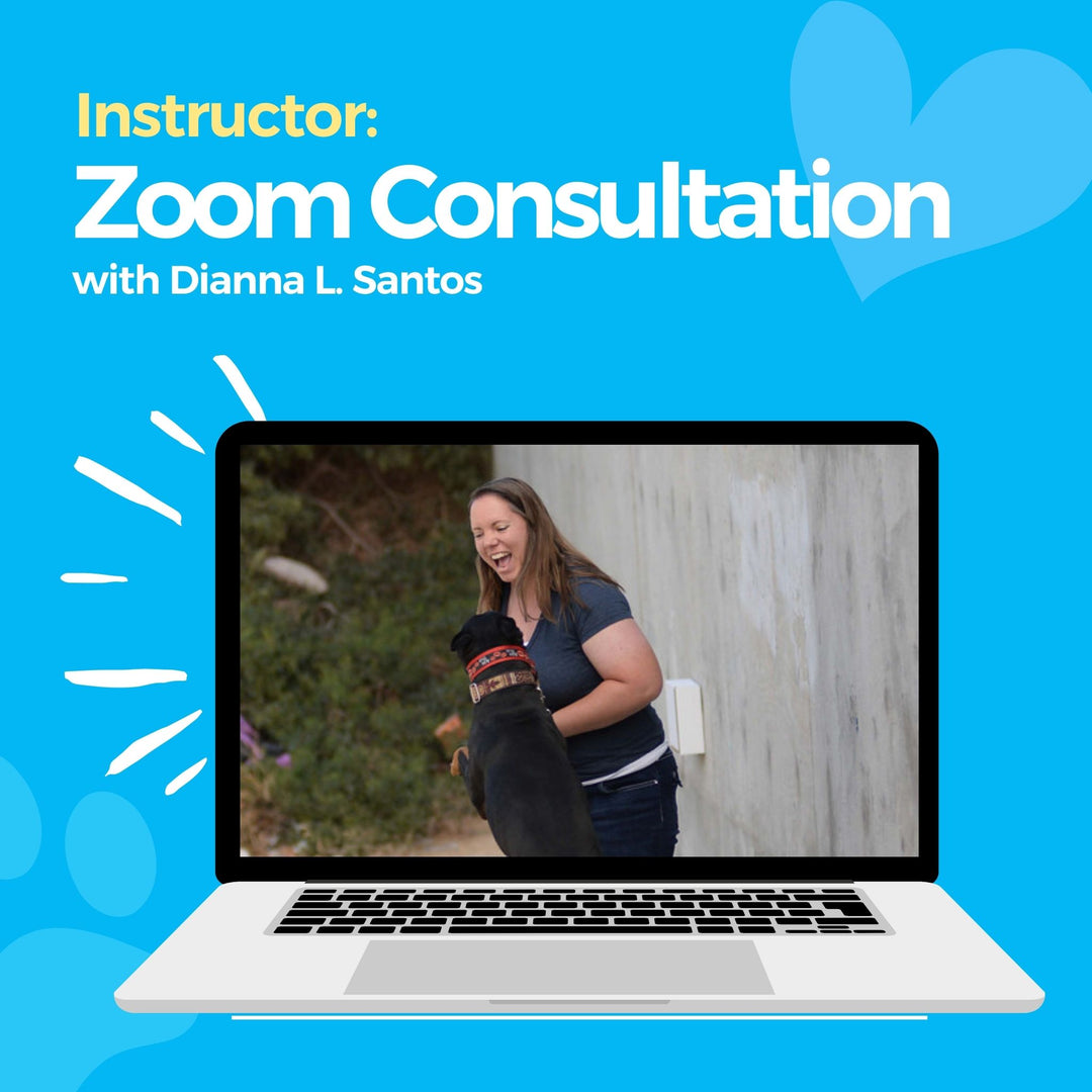 Instructor: Zoom Consultation with Dianna L. Santos