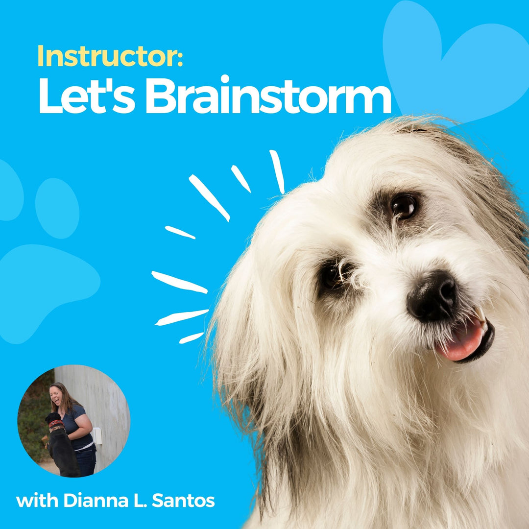 Instructor: Let's Brainstorm