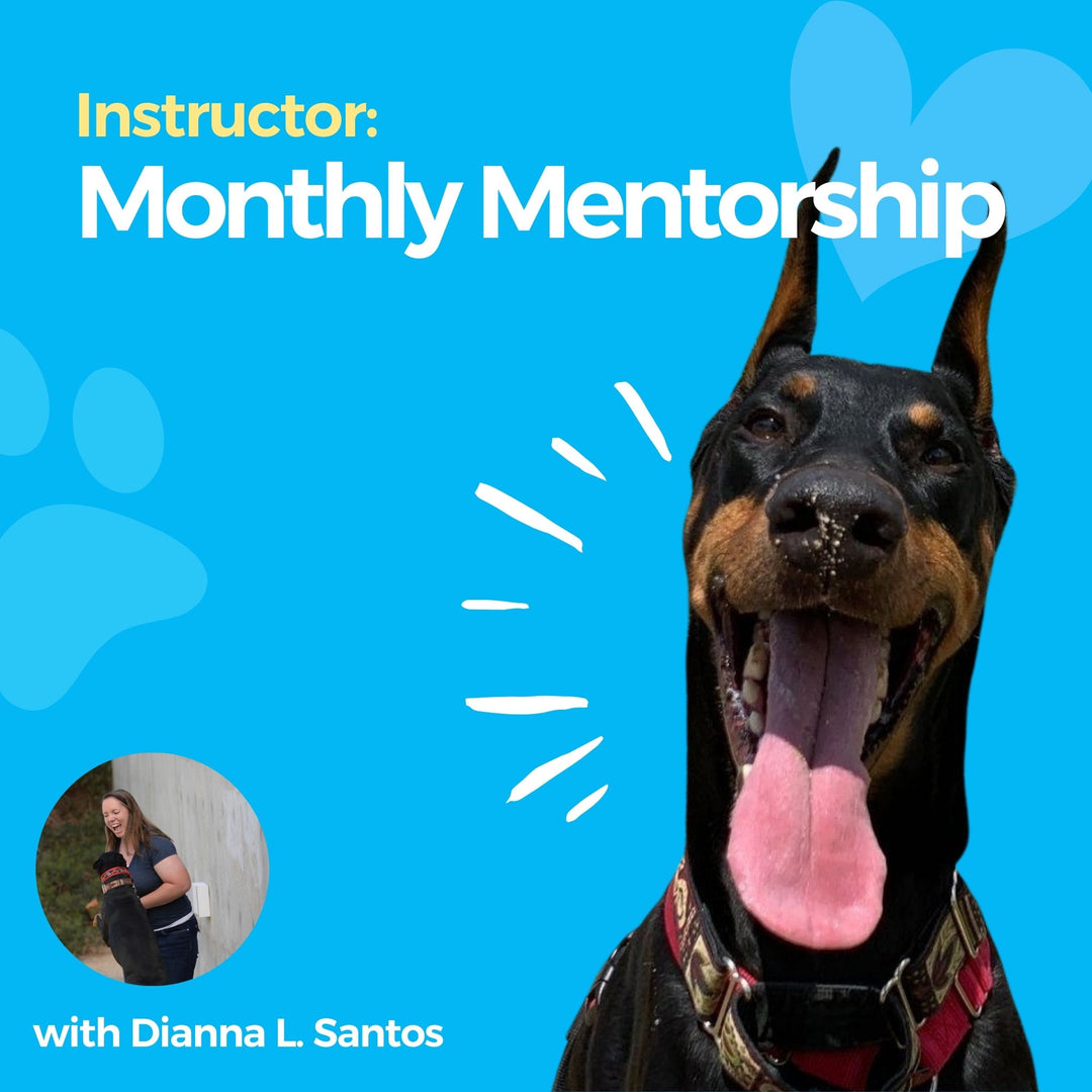 Instructor: Monthly Mentorship