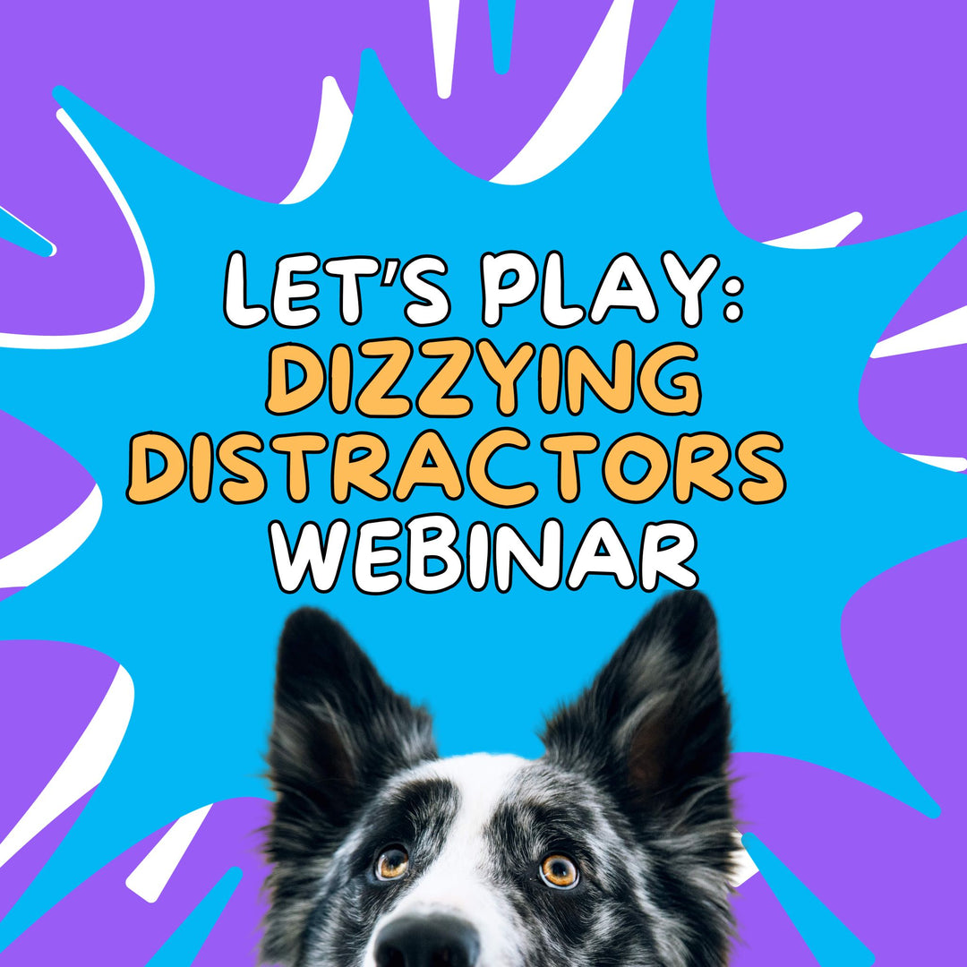 Let's Play: Dizzying Distractors Webinar