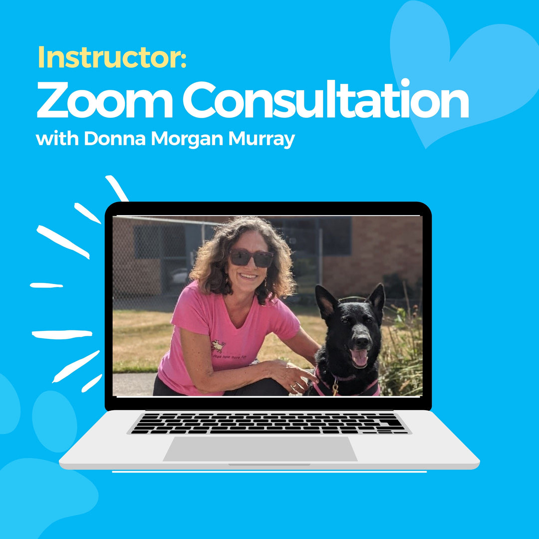 Instructor: Zoom Consultation with Donna Morgan Murray