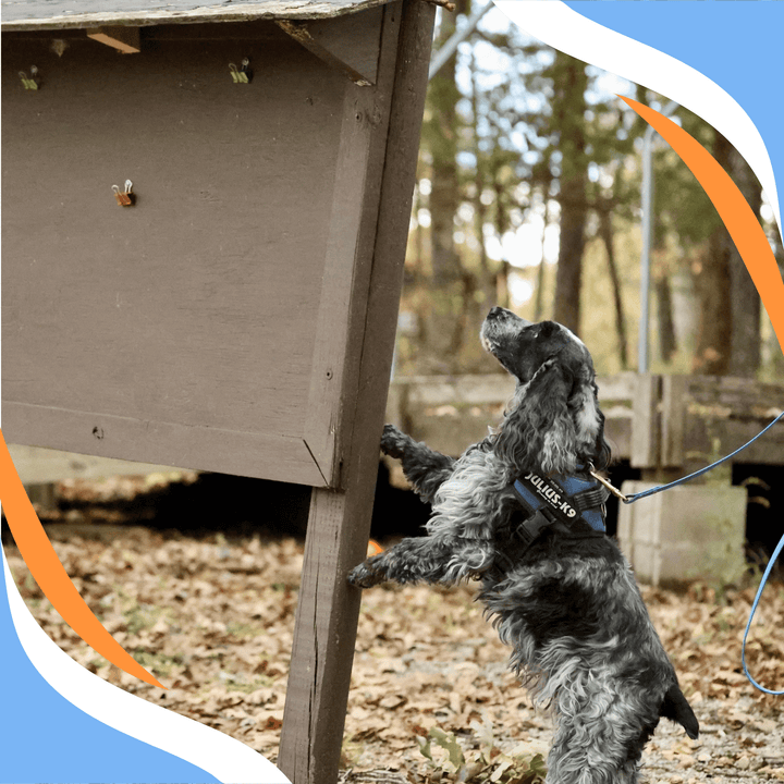 Don't Fear the Outdoors Webinar