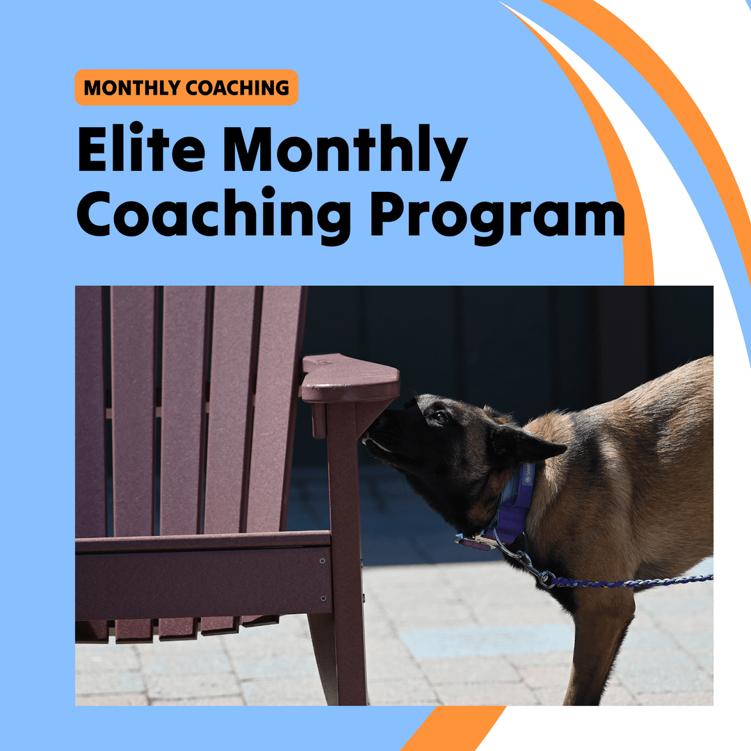 Elite Monthly Coaching Program
