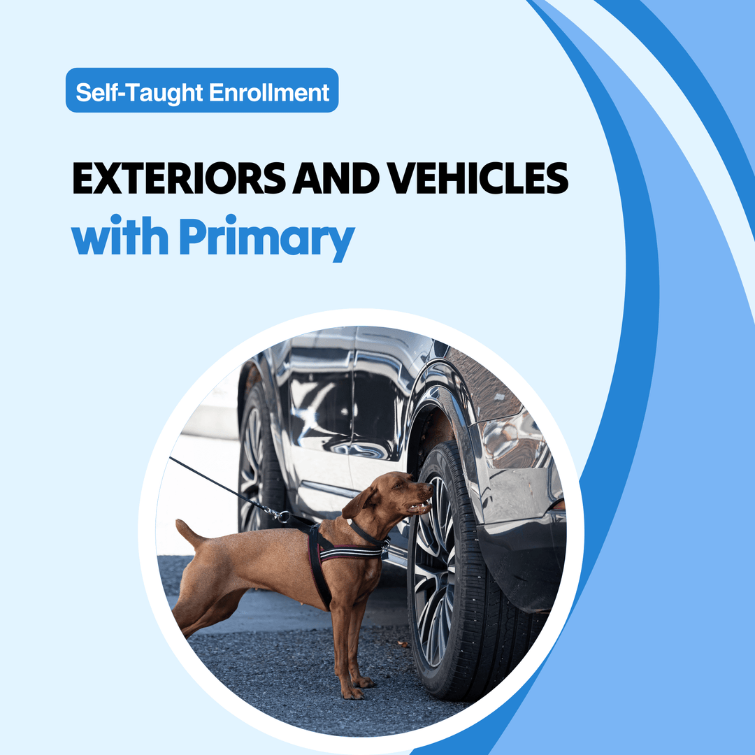 Exteriors and Vehicles with Primary Course