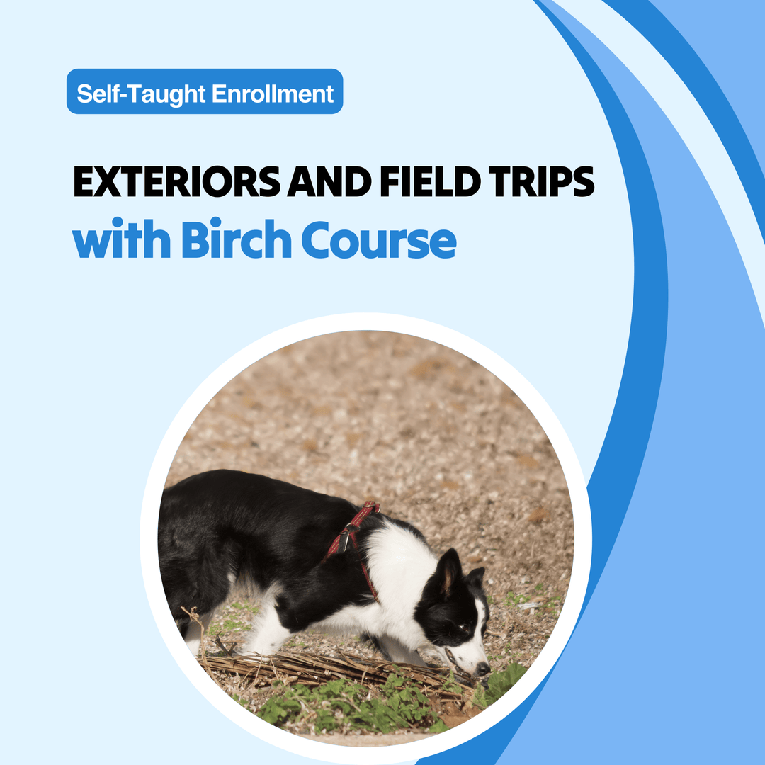 Exteriors and Field Trips with Birch Course