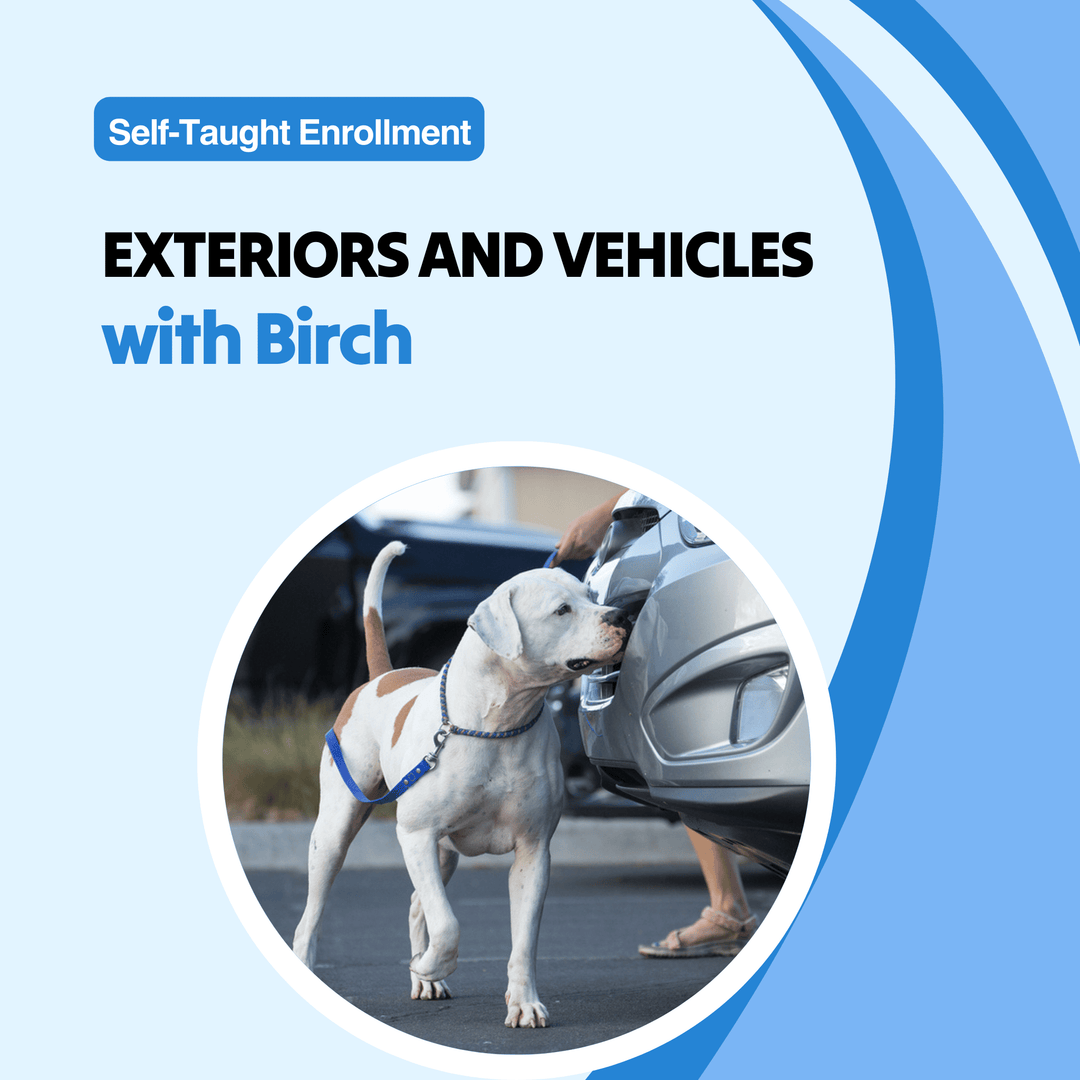 Exteriors and Vehicles with Birch Course