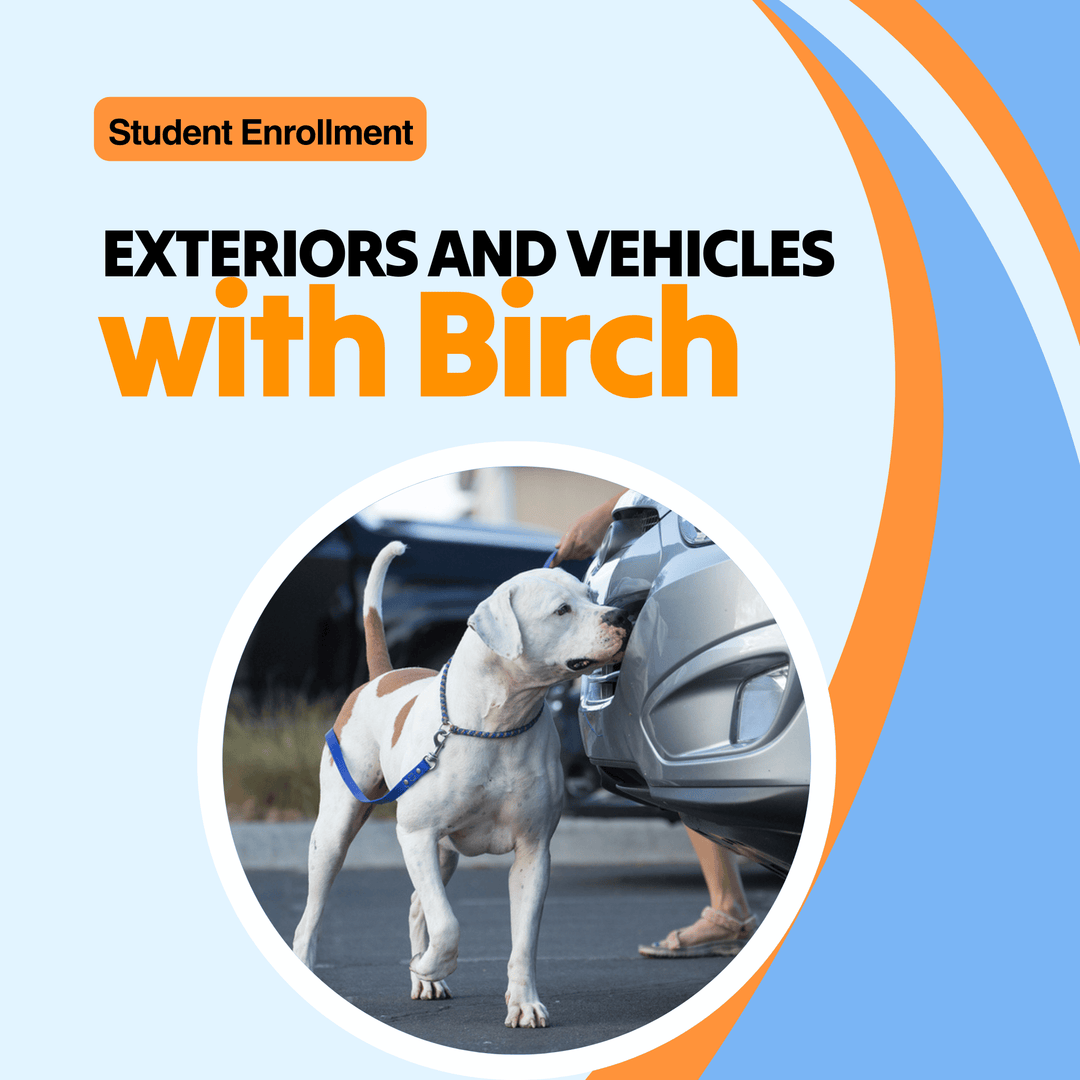 Exteriors and Vehicles with Birch Course (Student)