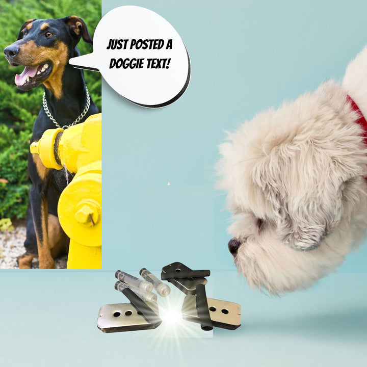 Find Your Hide - Proofing for Dog Odor Webinar