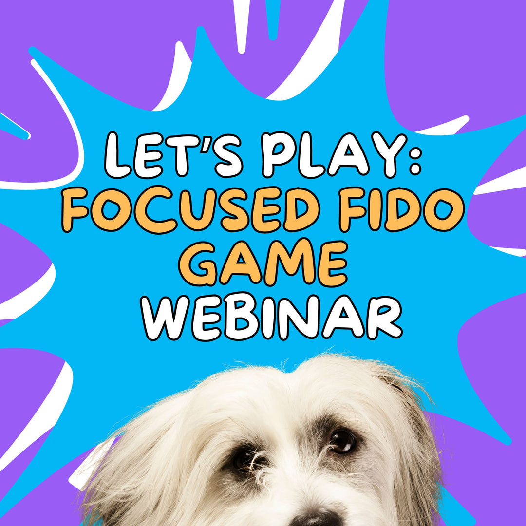 Let's Play: Focused Fido Webinar