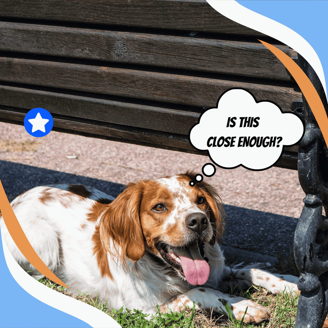 Fringing: Causes and Solutions Webinar