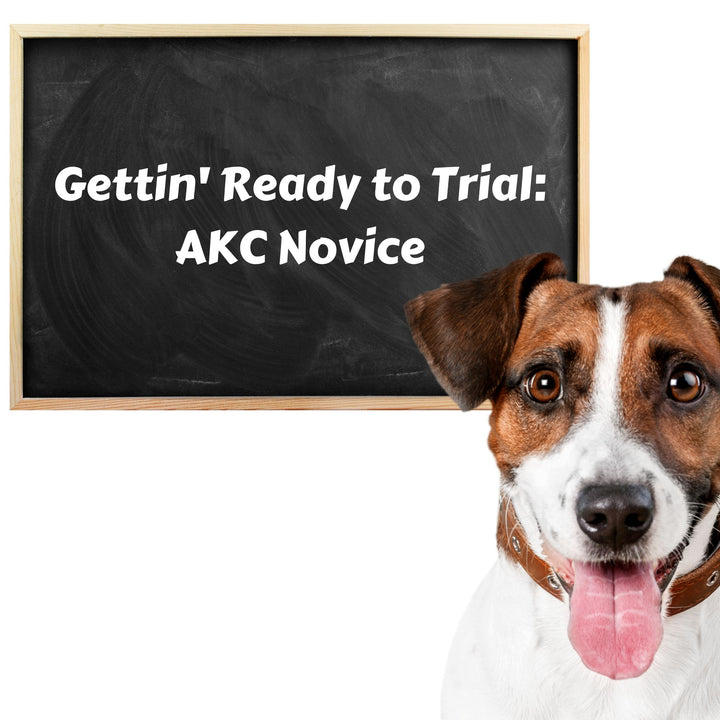 Gettin' Ready to Trial: AKC Novice Webinar