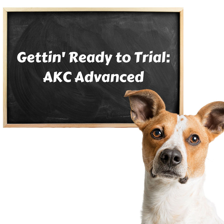 Gettin' Ready to Trial: AKC Advanced Webinar
