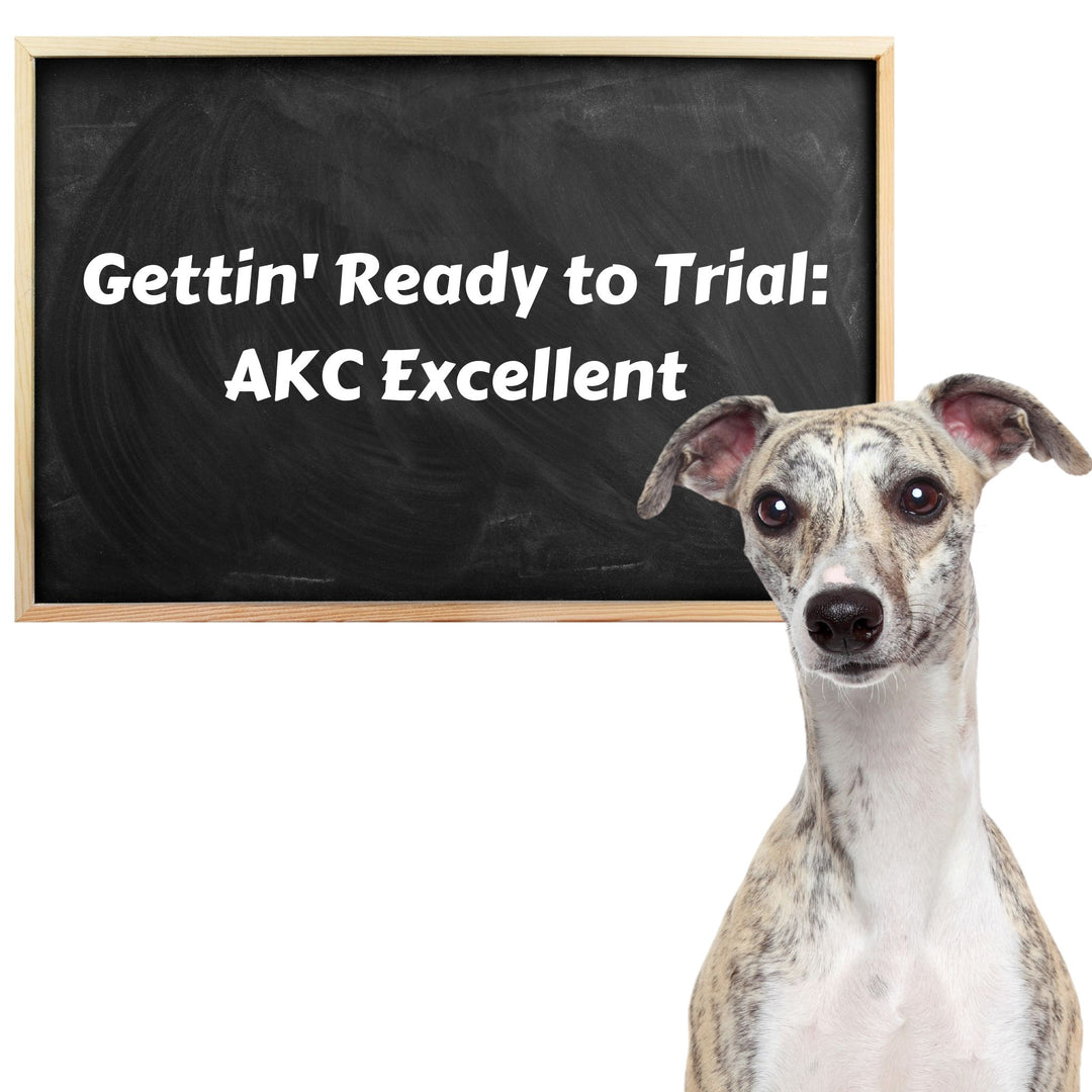 Gettin' Ready to Trial: AKC Excellent Webinar