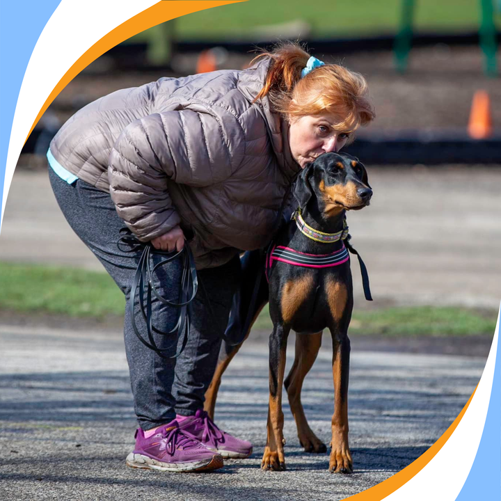 The Handler's Role: Managing Behavioral Challenges Webinar