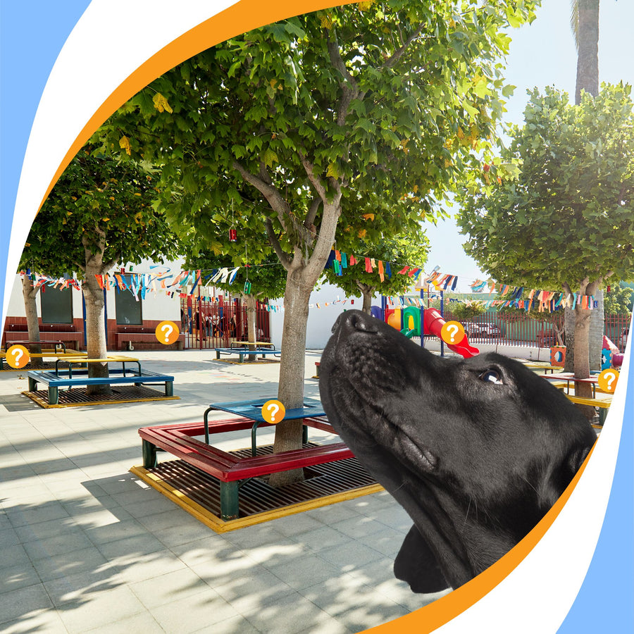 NACSW Program – Scent Work University