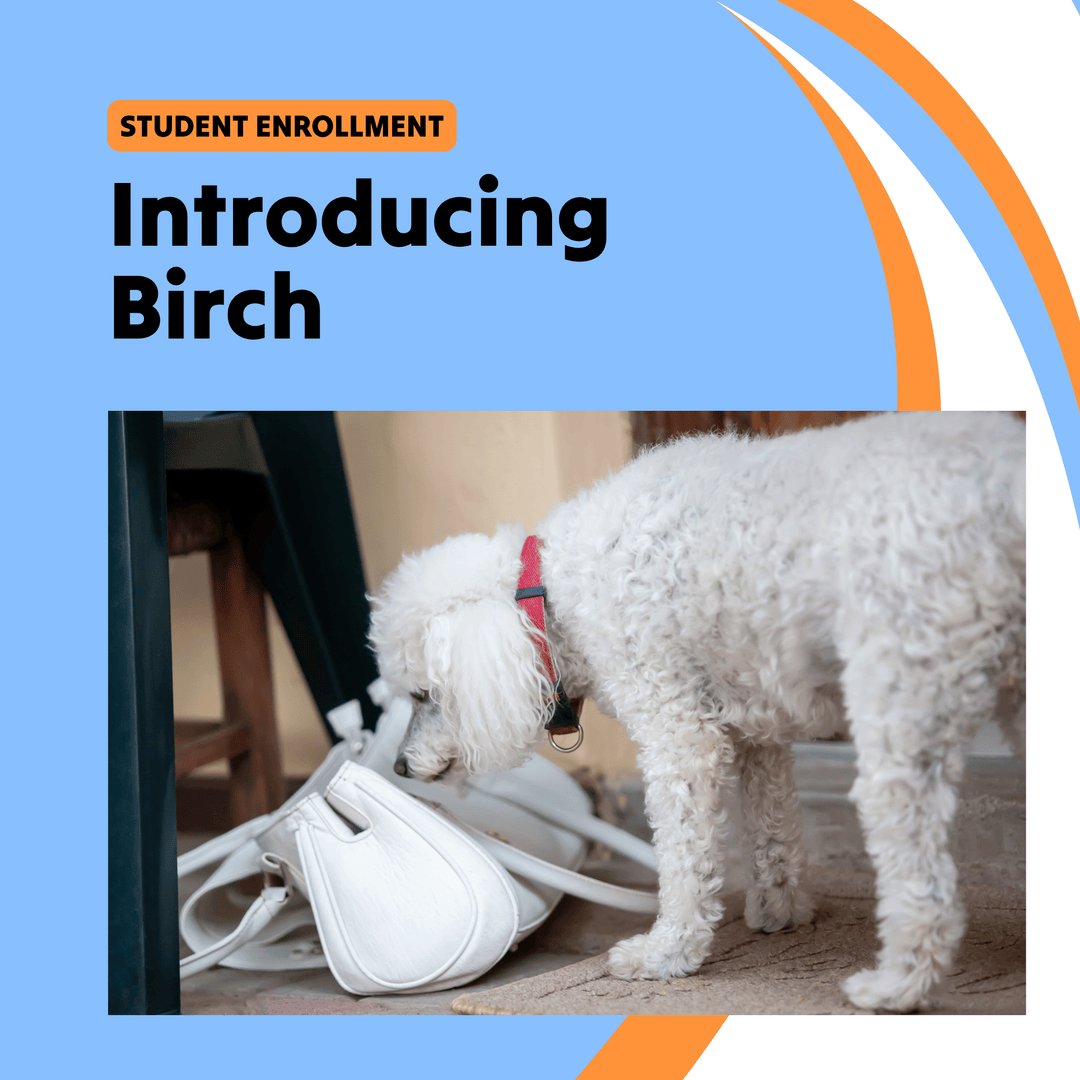 Introducing Birch Course (Student)