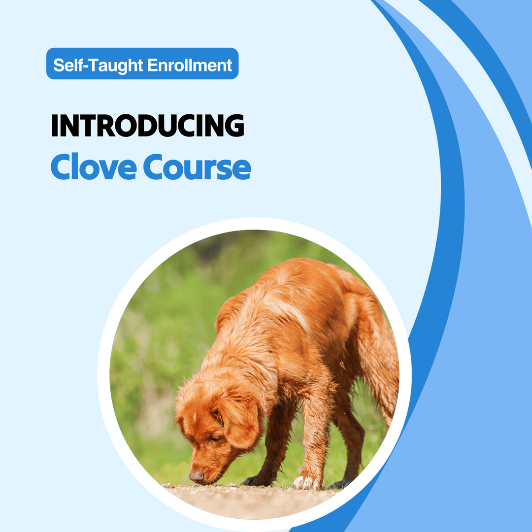 Introducing Clove Course