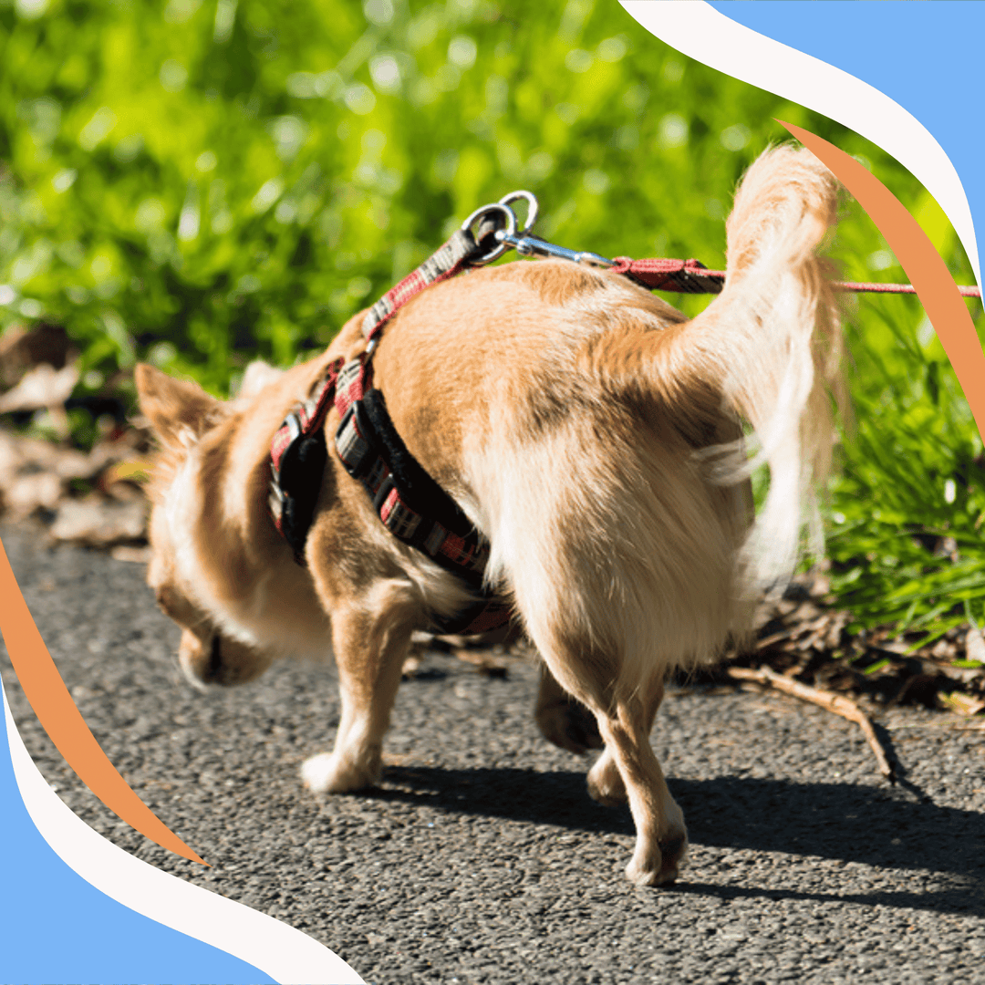 It's About More Than Just Stuff Webinar