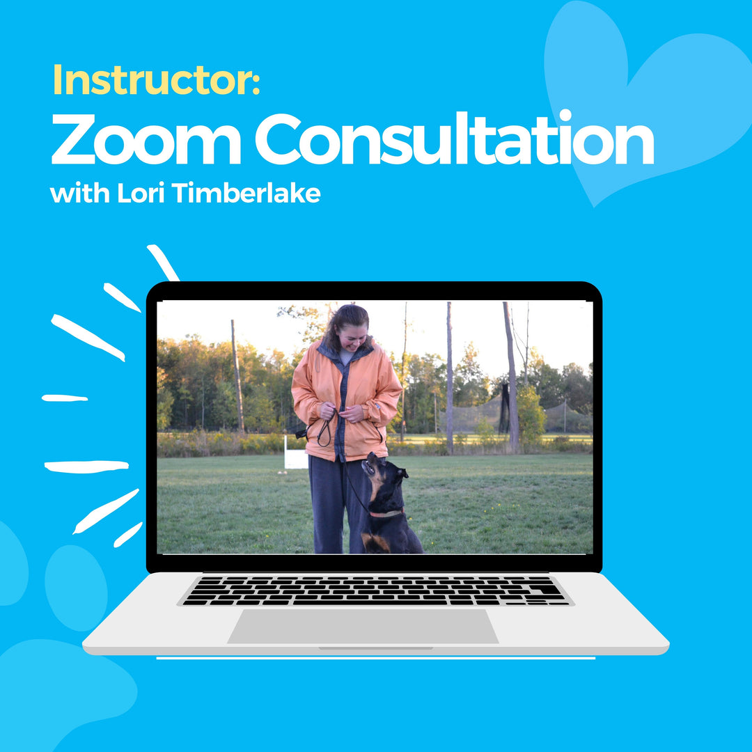 Instructor: Zoom Consultation with Lori Timberlake