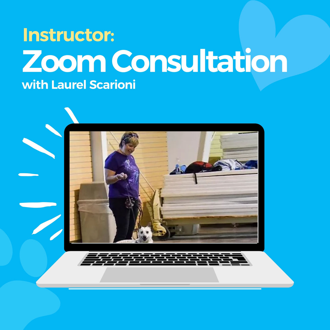 Instructor: Zoom Consultation with Laurel Scarioni