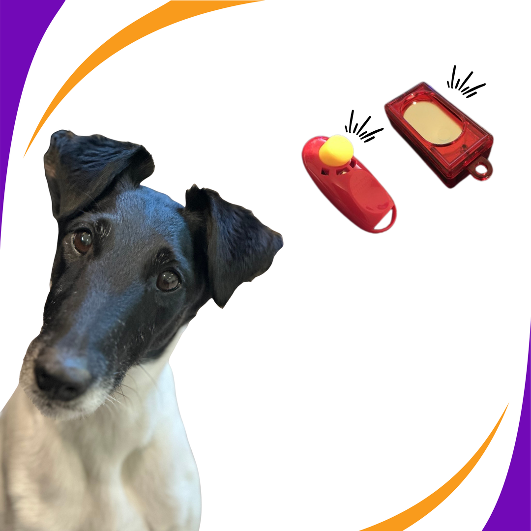 Learn About Clicker Training Webinar