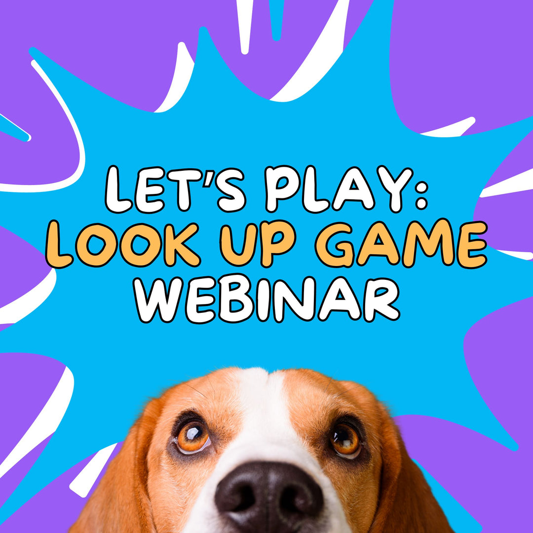 Let's Play: Look Up Game Webinar