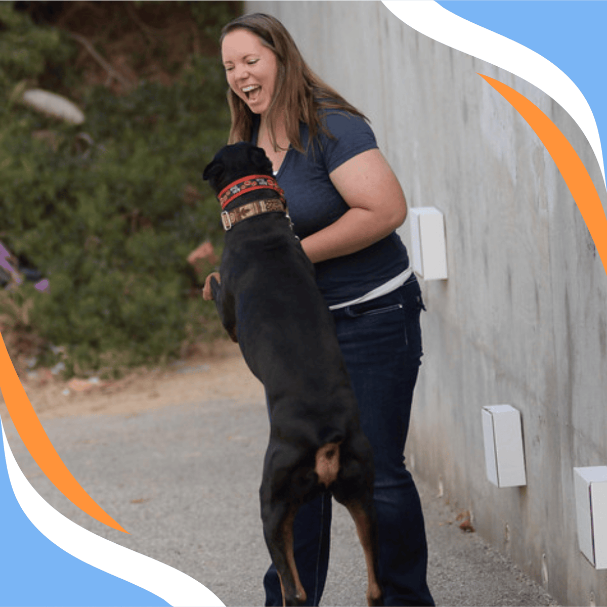 Maclean Fun Handler Making Scent Work Fun for the Handler Webinar – Scent Work University