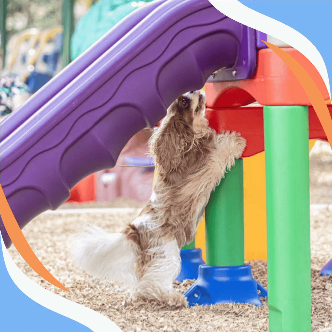 Manipulating Search Areas to Create Hide Challenges Webinar