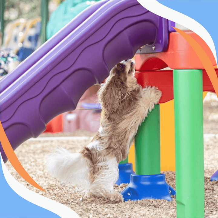 Manipulating Search Areas to Create Hide Challenges Webinar