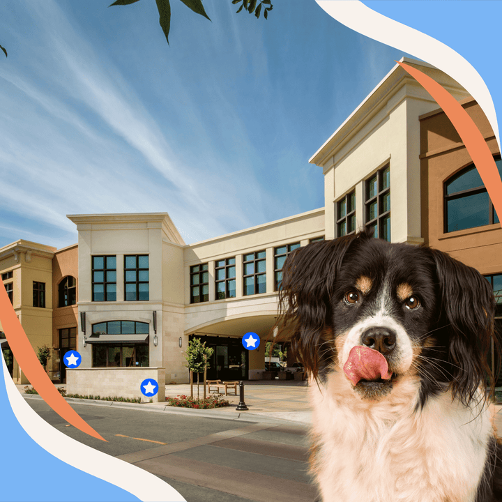 Mastering Multiple Hides Webinar