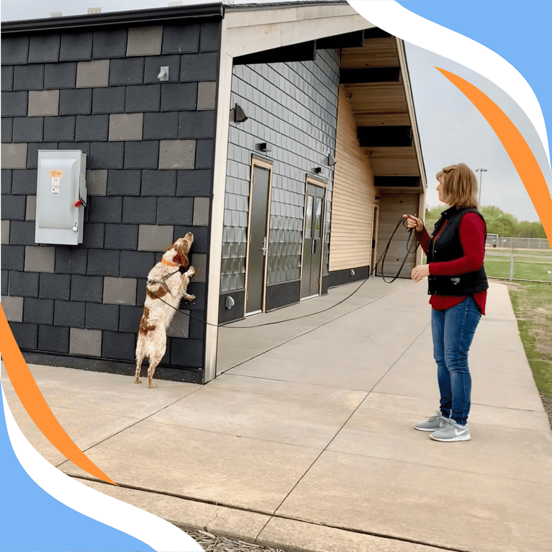 The "Mysterious Agreement" of Wondering Through Our Searches Webinar