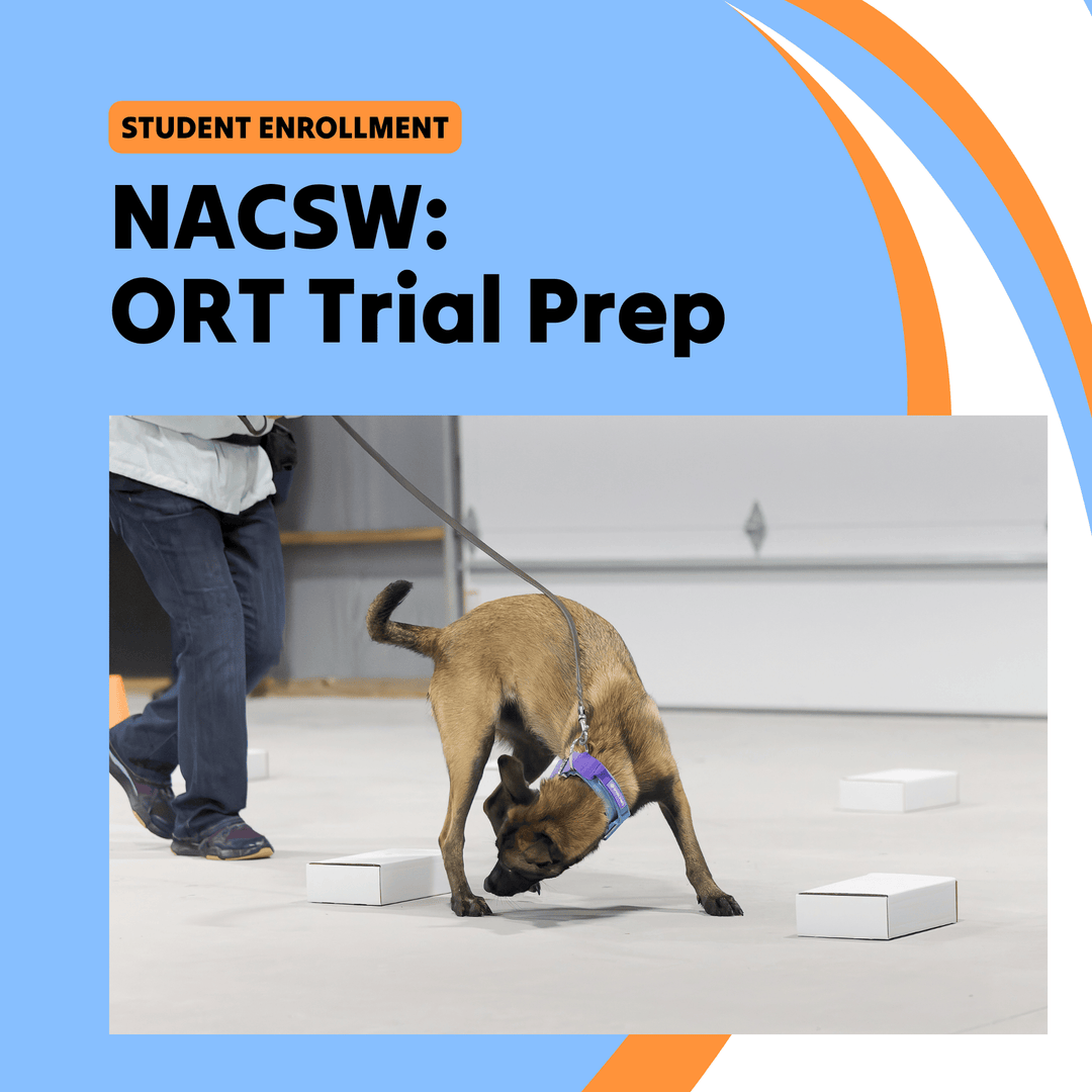 NACSW: Odor Recognition Prep (ORT) Course (Student)