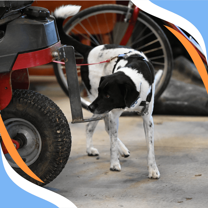 NACSW Trial Experience Webinar Series: Part 1 (ORT - NW3)