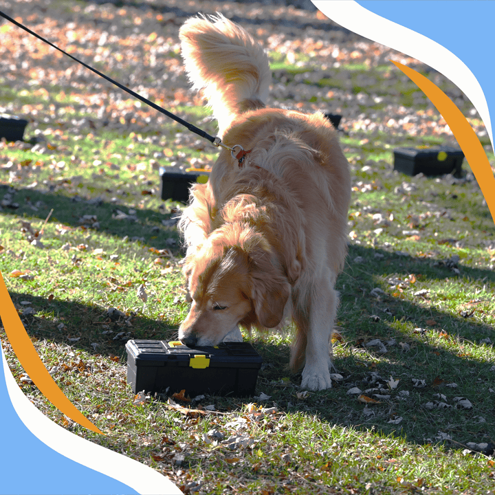 NACSW Trial Experience Webinar Series: Part 2 (Element Specialty Trials)