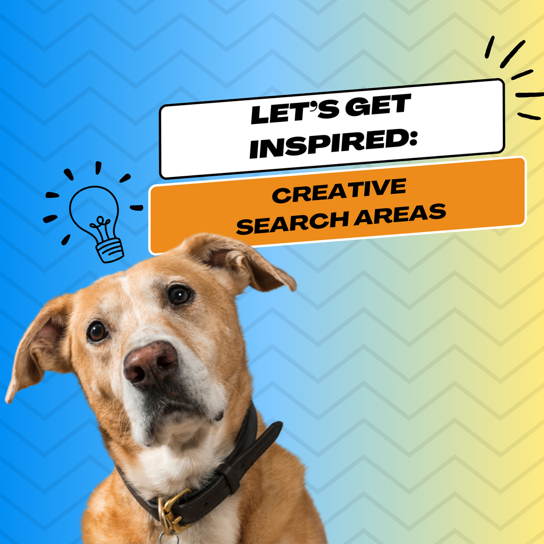 Let's Get Inspired: Creative Search Areas