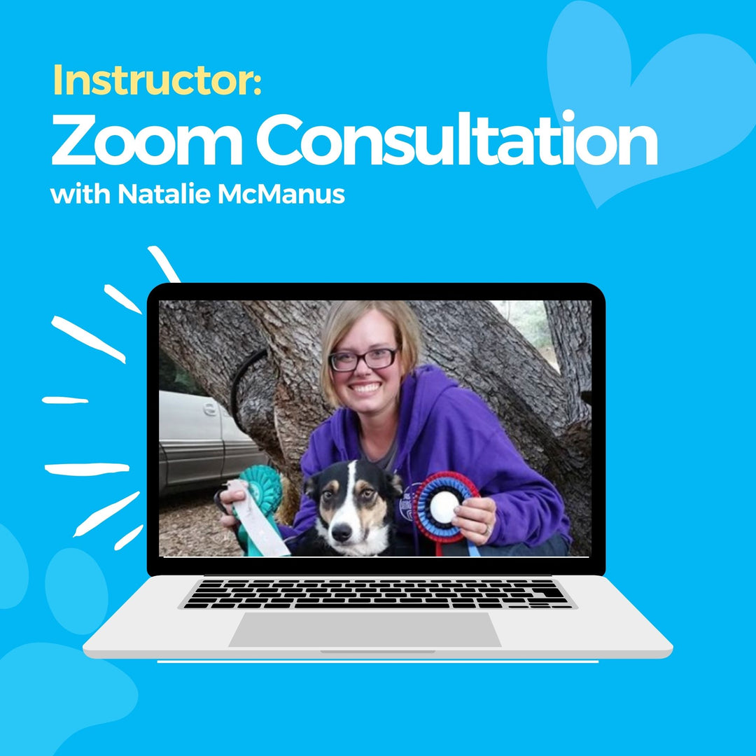 Instructor: Zoom Consultation with Natalie McManus