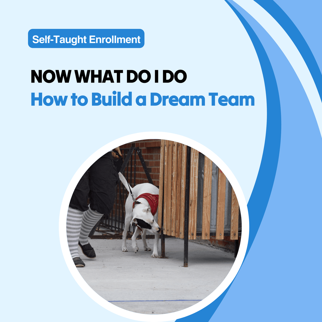 Now What Do I Do?! How to Build a Dream Scent Work Team
