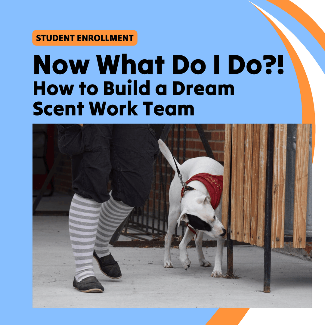 Now What Do I Do?! How to Build a Dream Scent Work Team Course (Student)