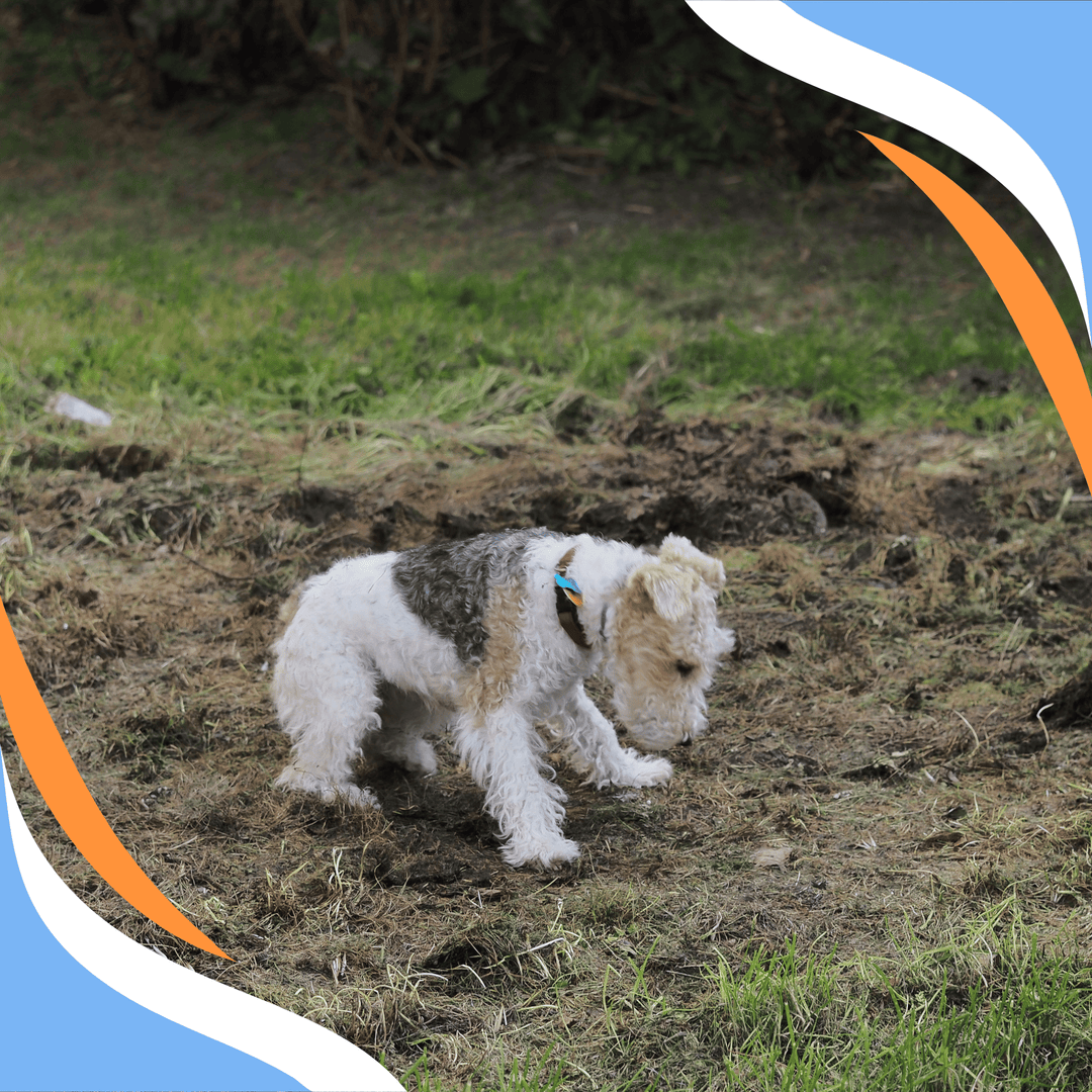 Passive Alerts: How, Why and Possible Pitfalls Webinar