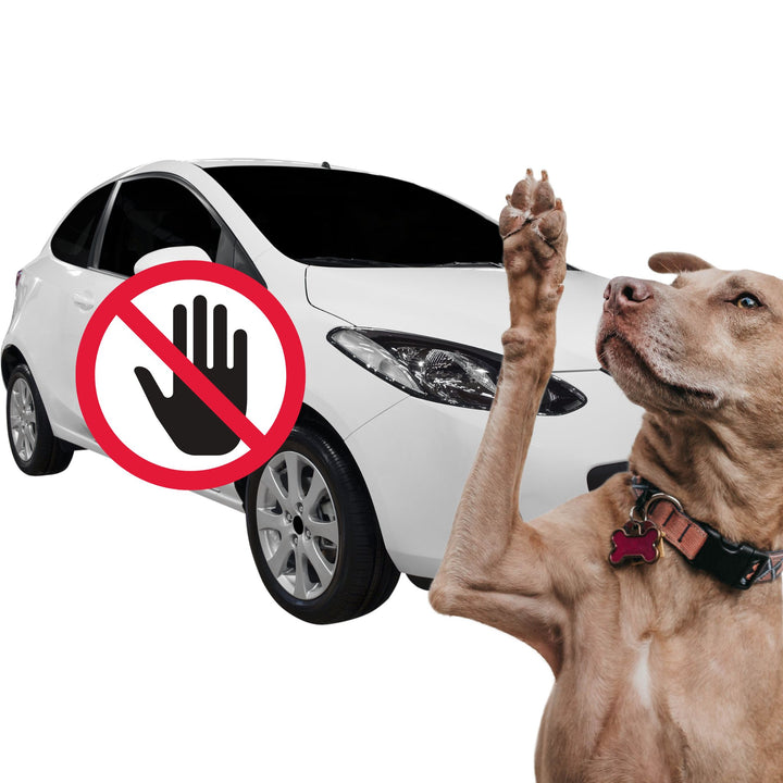 Paws Off the Paint: Vehicle Searches Webinar