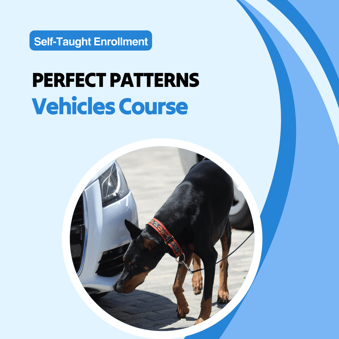Perfect Patterns: Vehicles Course