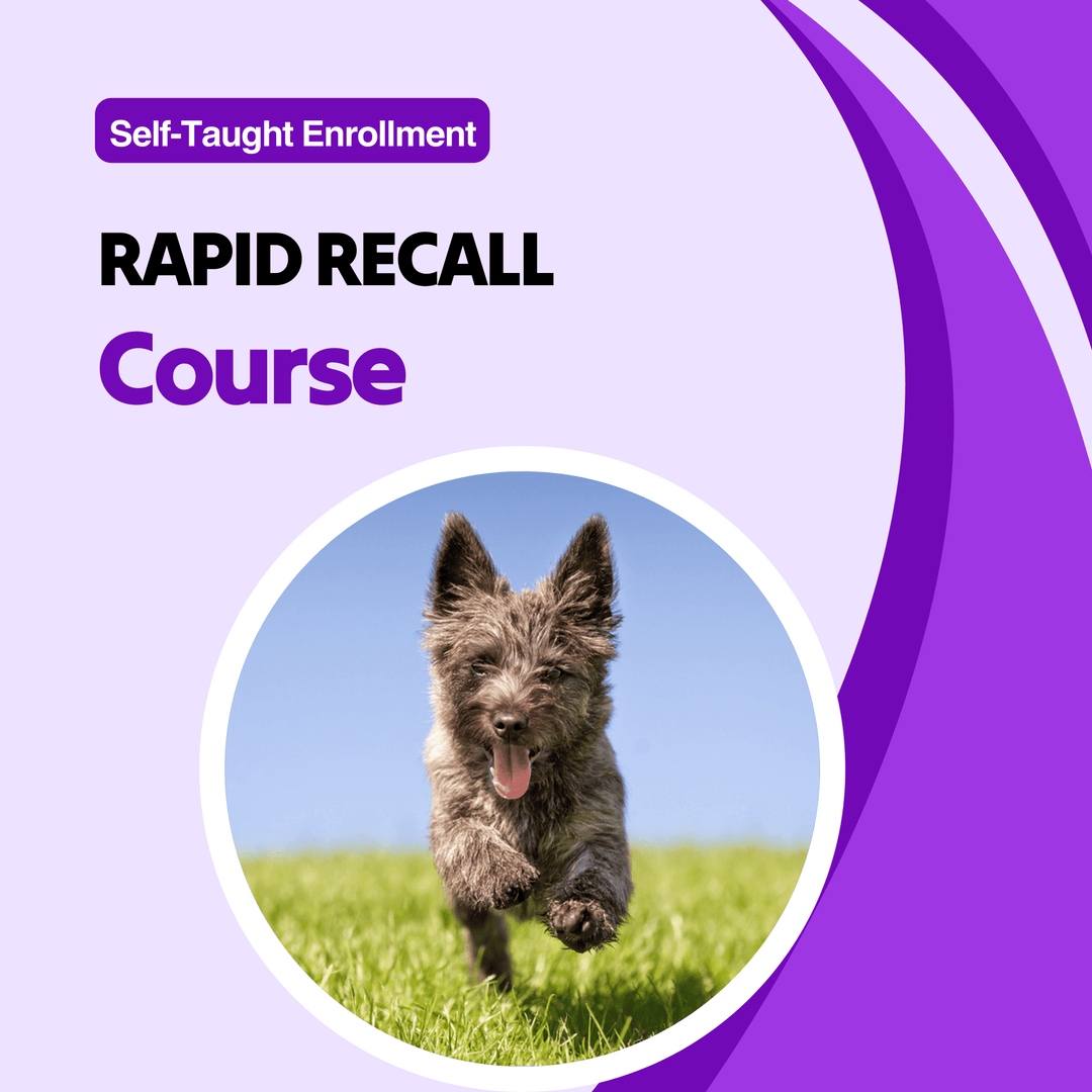 Rapid Recall Course