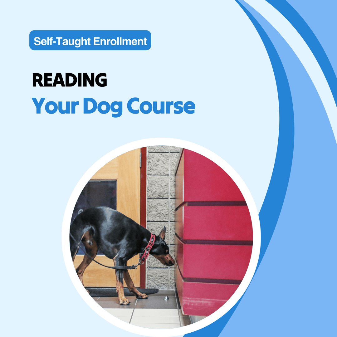 Reading Your Dog Course