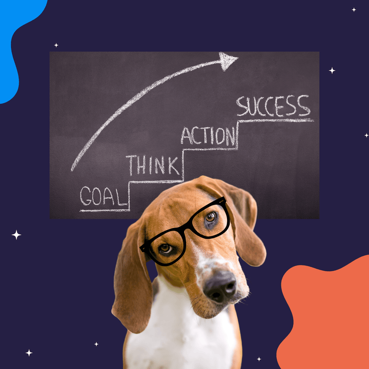 Building an Effective Nosework Training Plan for Instructors Module